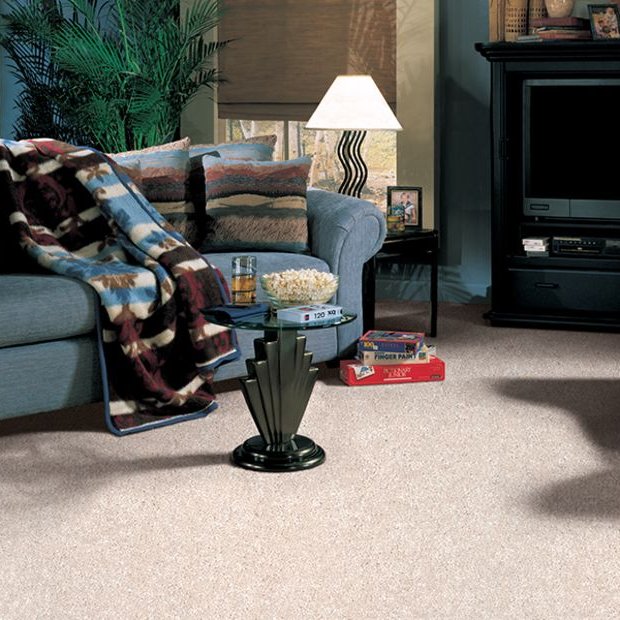 Carpet trends in Sauk City, WI from Willow Creek Flooring