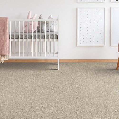 Stylish carpet in Plain, WI from Willow Creek Flooring